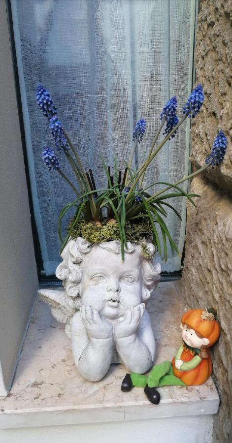 Verona Goddess House Eksteriør billede